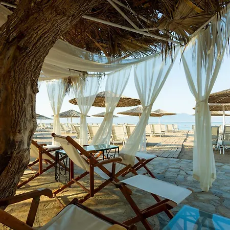 Charm Hotell 4*