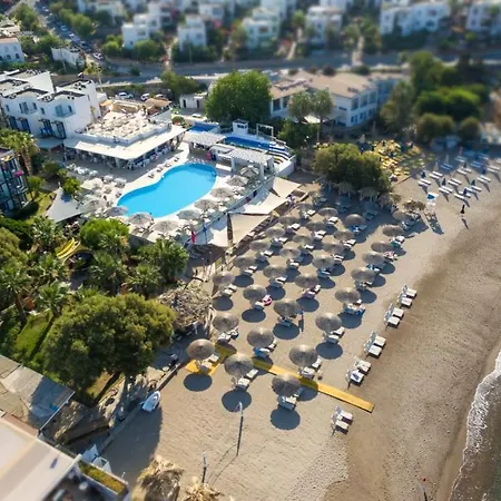 Charm 4* 아크얄라